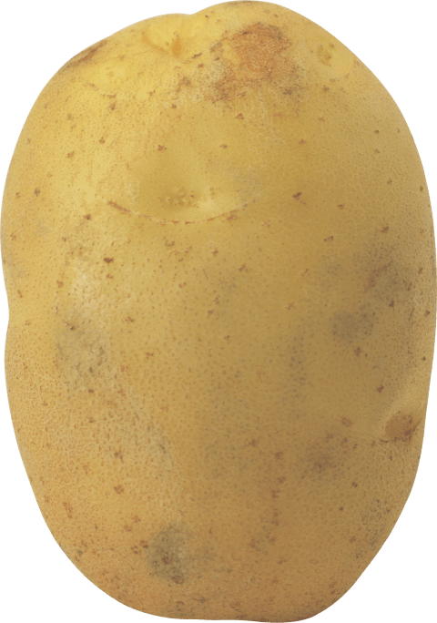 potato clipart brown potato