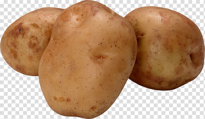 potato clipart brown potato