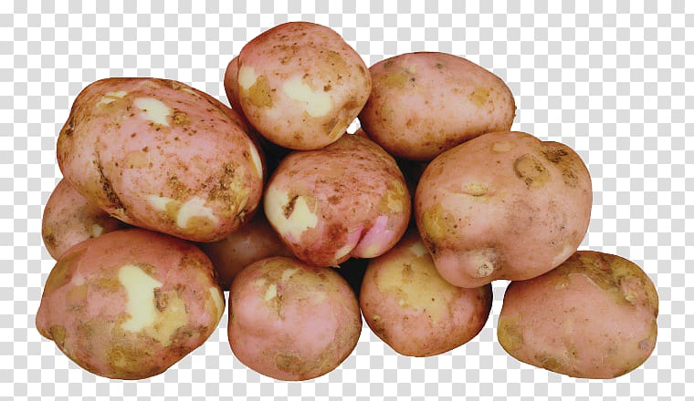 Potato clipart fresh. French fries mashed delicious
