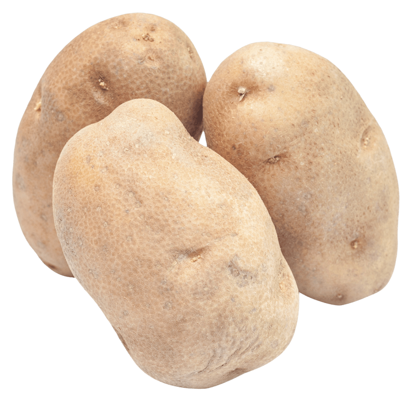 potato clipart fresh