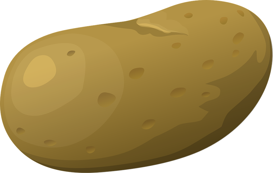 potato clipart kamote