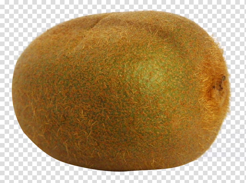 potato clipart kiwi
