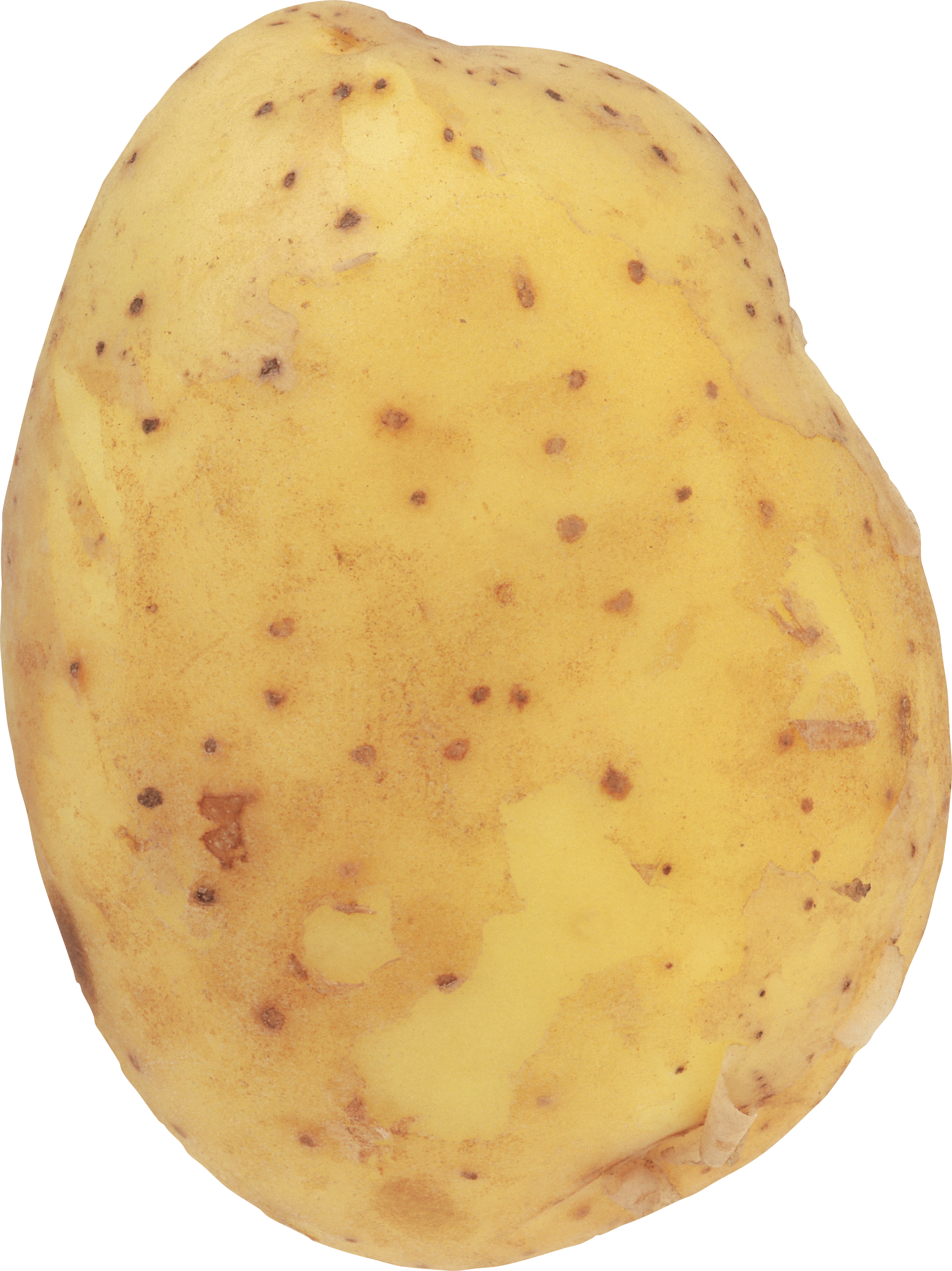 potato clipart one potato two