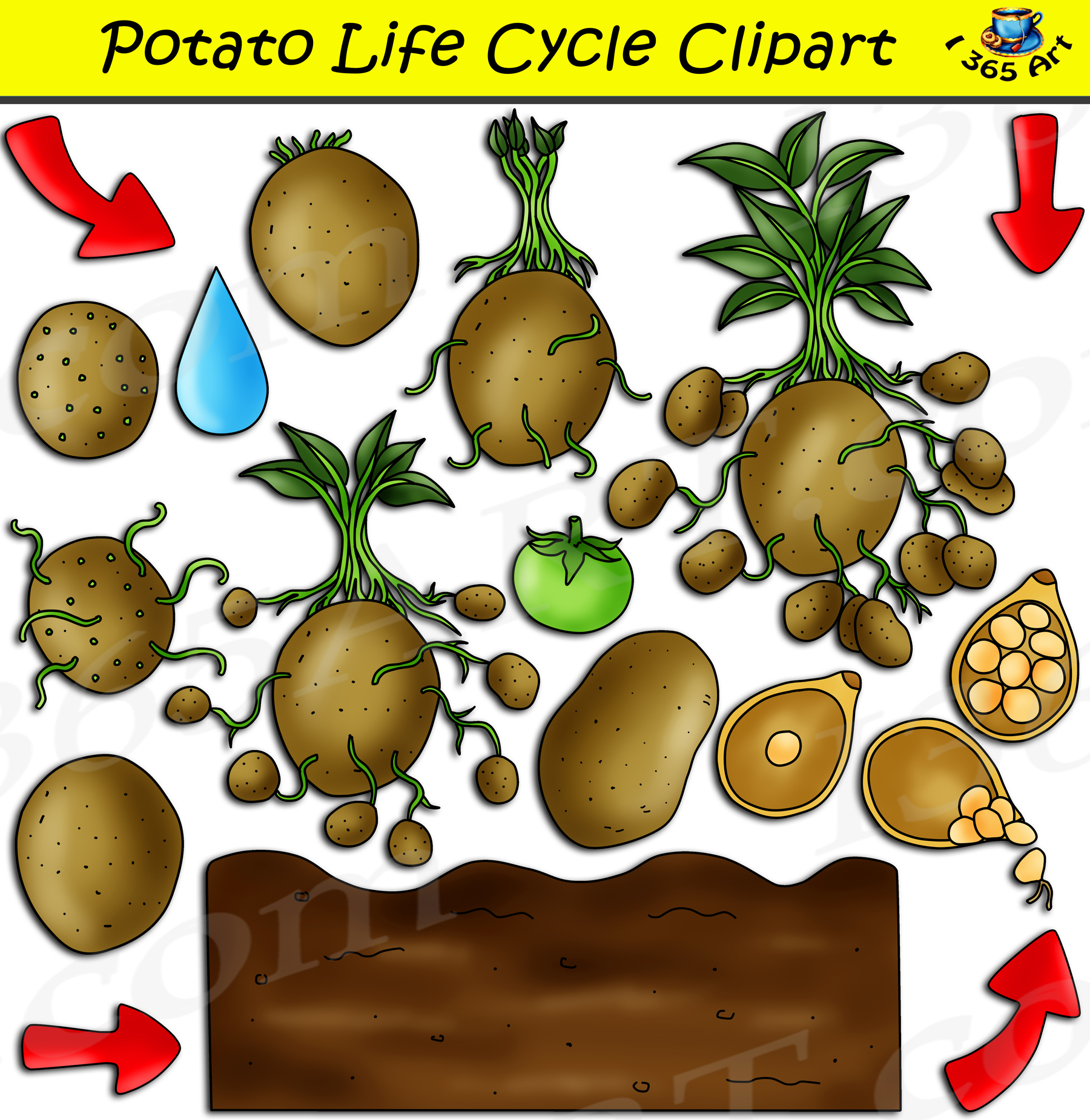 potato clipart pocket