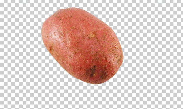 potato clipart red potato