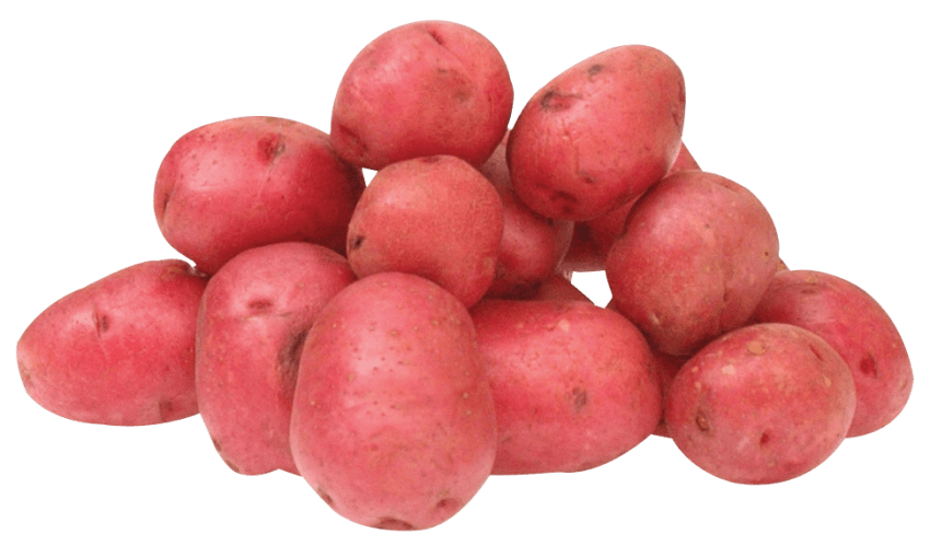 potato clipart red potato