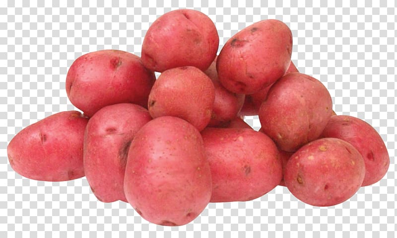 potato clipart red potato