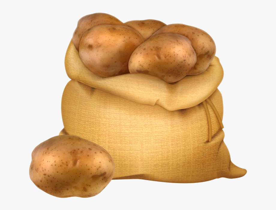 Potato clipart sack potato. Farm of potatoes 