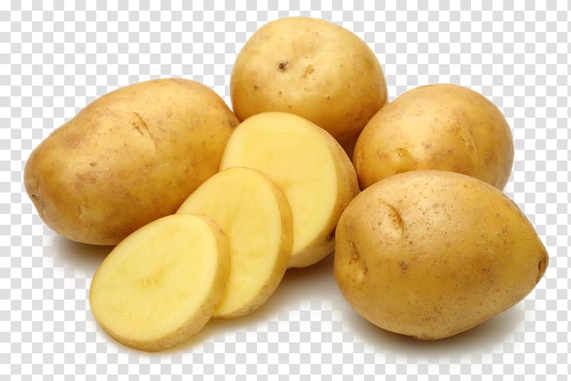 potato clipart sliced potato