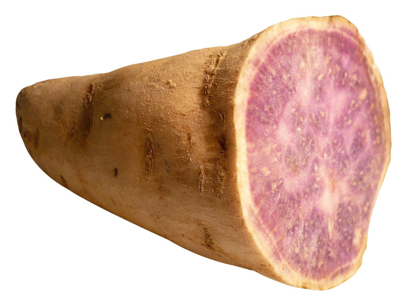 potato clipart yam