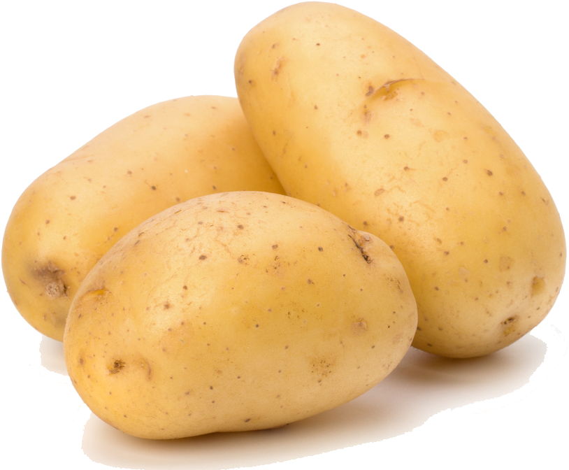 potato clipart yellow vegetable