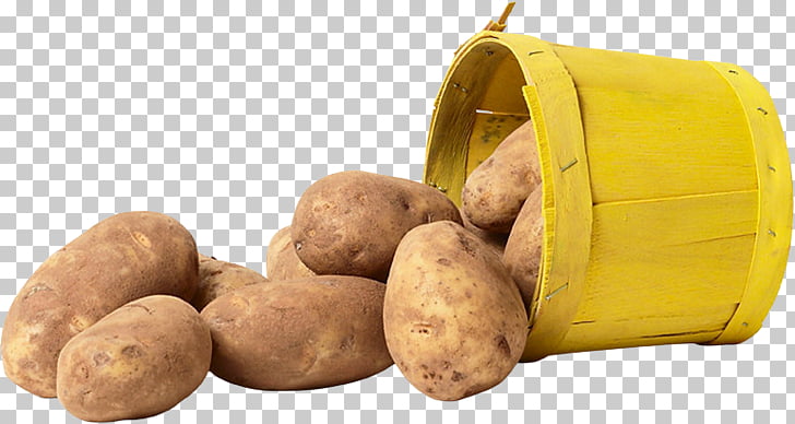 potato clipart yellow vegetable