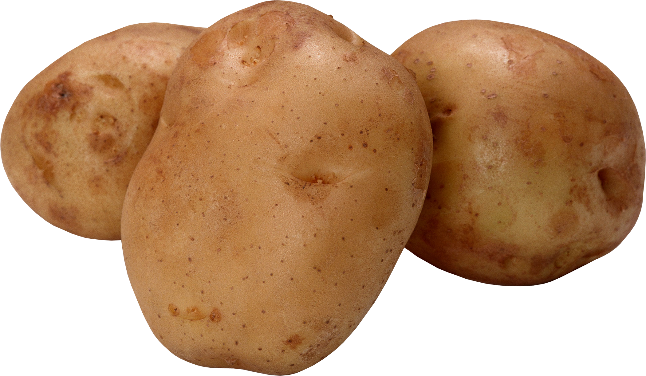 potato clipart high resolution