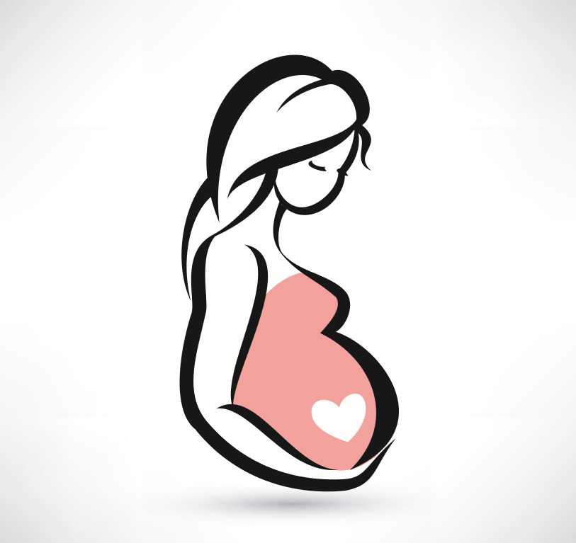 pregnancy clipart early pregnancy