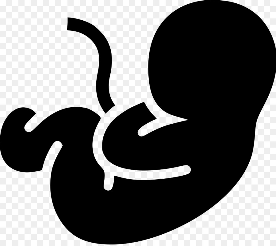 Cartoon font line silhouette. Pregnancy clipart fetus