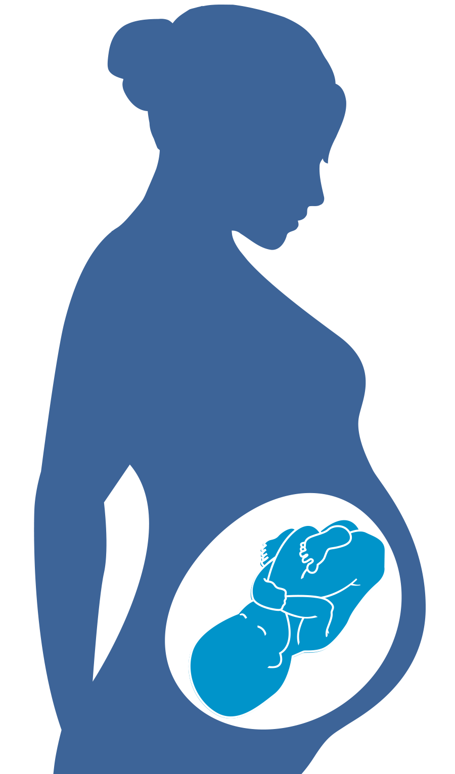 Pregnancy clipart women's health. And hiv womenshealth gov