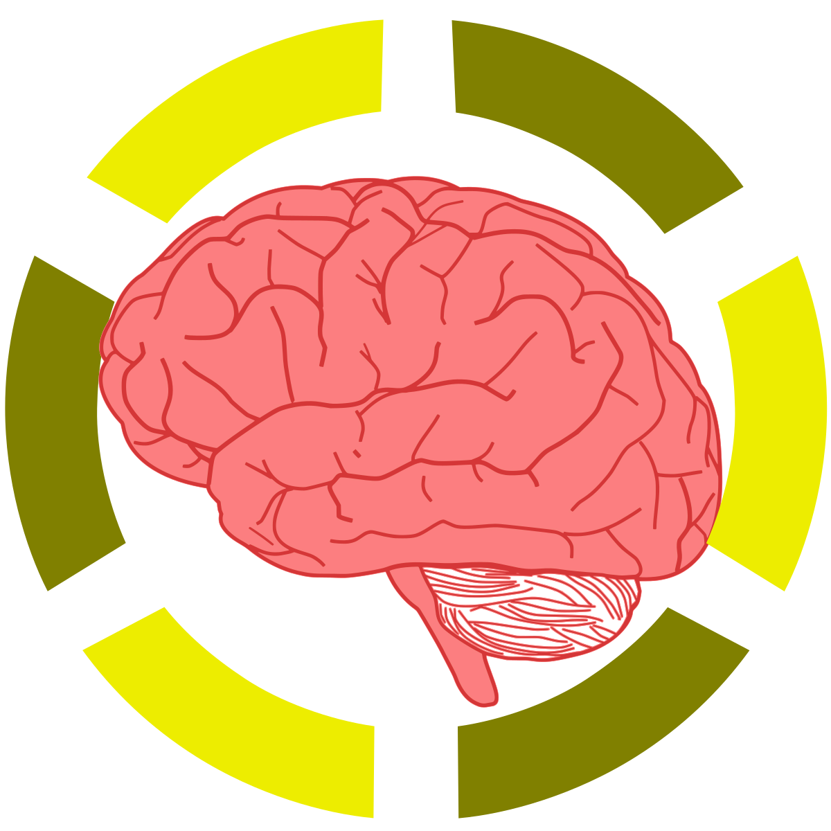 psychology clipart hippocampus brain