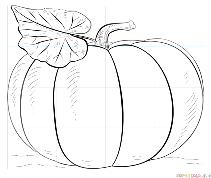 pumpkin clipart sketch