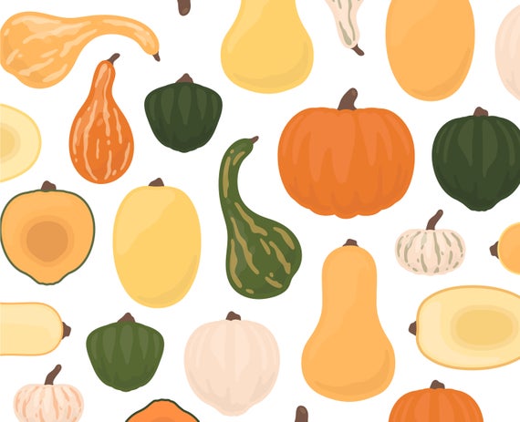 Autumn fall clip art. Pumpkin clipart squash
