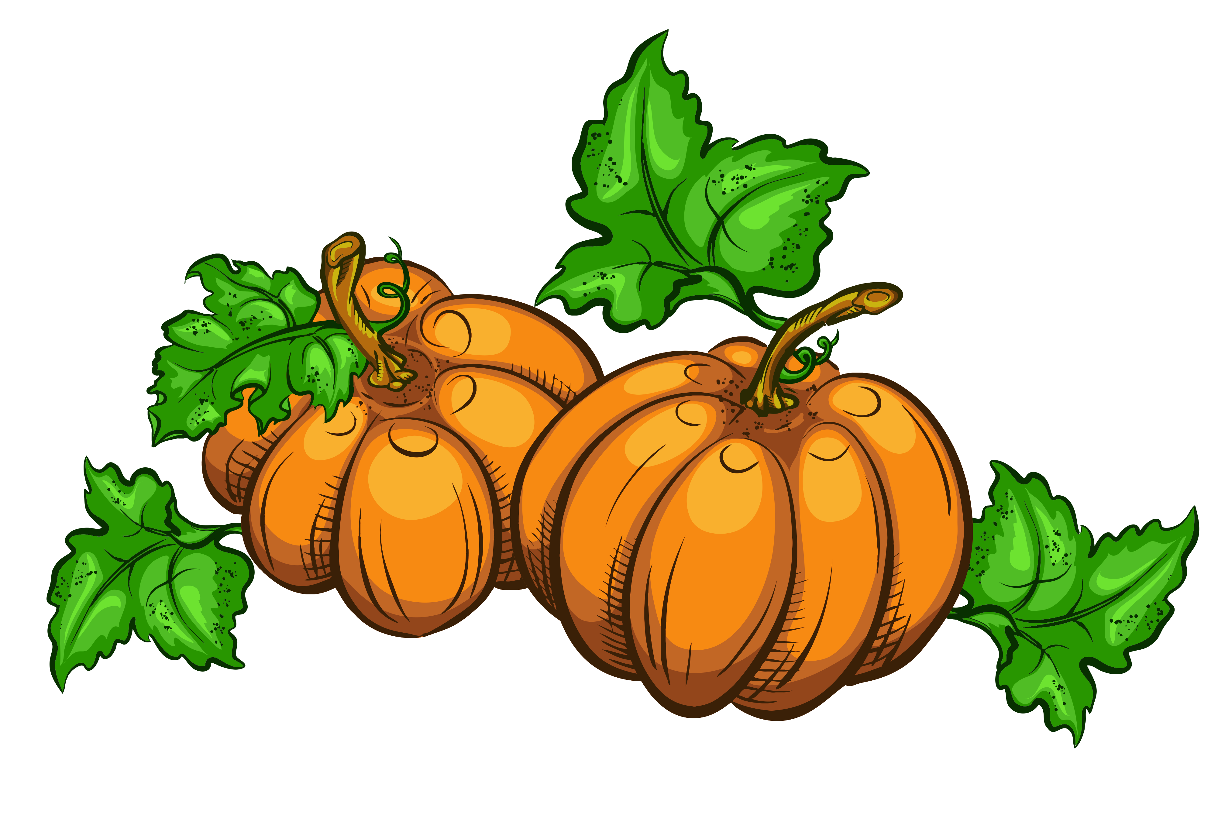 pumpkin clipart thanksgiving