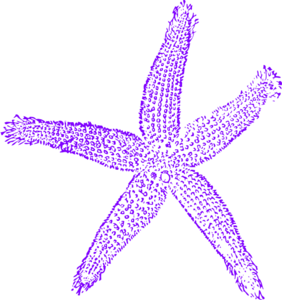 Starfish clipart purple starfish. Maehr wedding clip art