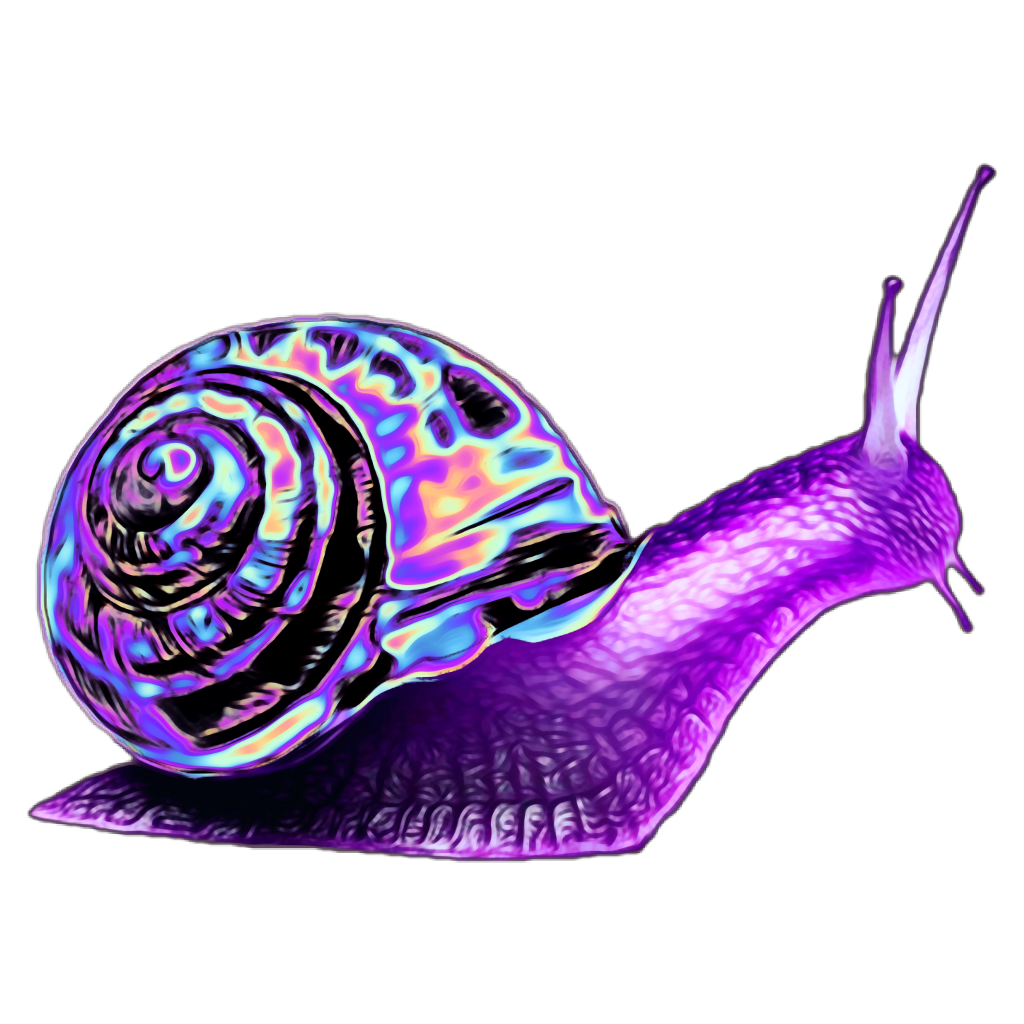 download tyrian purple snail