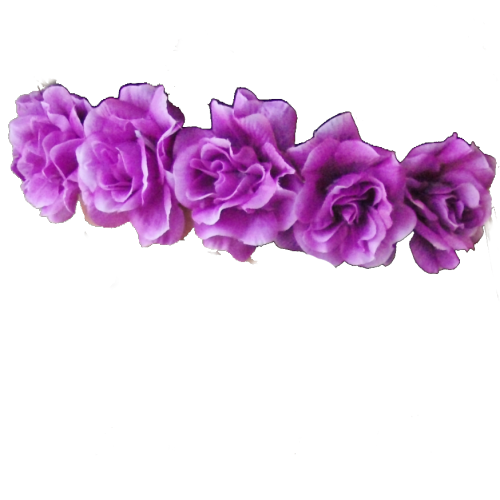 purple flower crown png