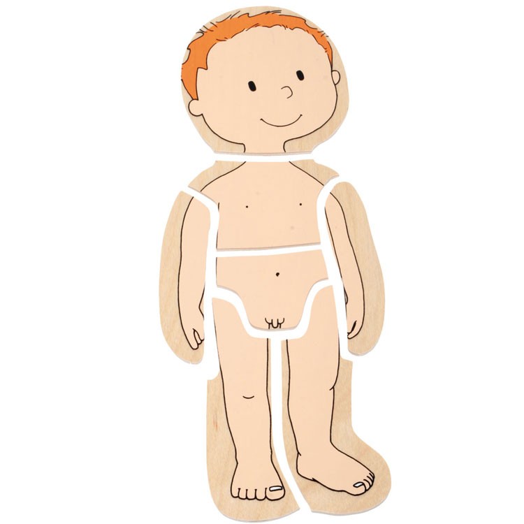 puzzle clipart human body