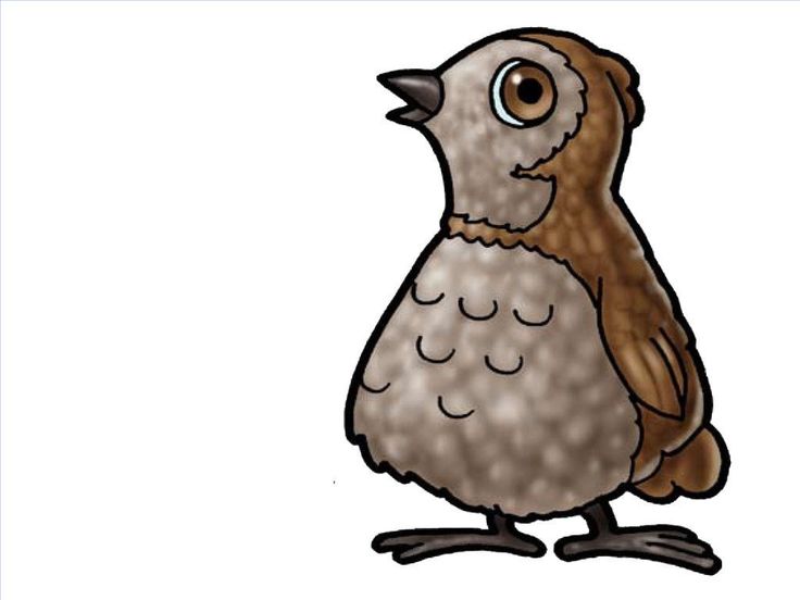Free download best on. Quail clipart felt