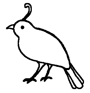 Pin on embroidery . Quail clipart felt