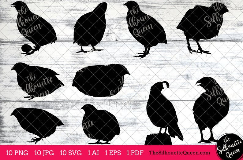 Quail clipart felt. Bird svg files bundle