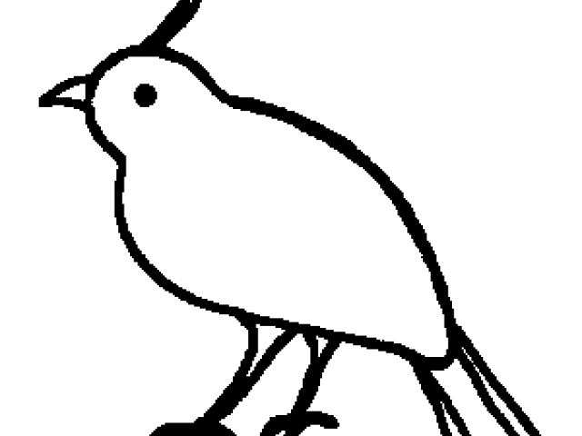 Quail clipart quil. Free download clip art
