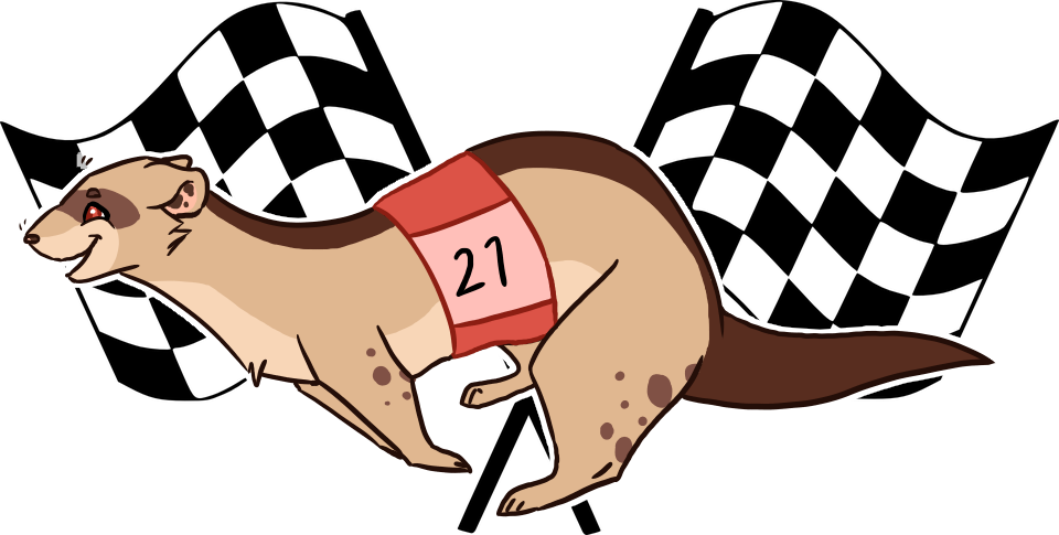 Race clipart school competition. Ferret racing by ferretnationrpg