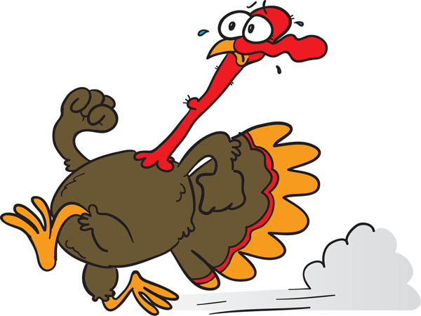 turkeys clipart race