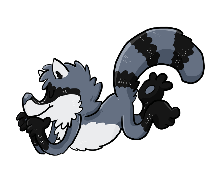 racoon clipart animated