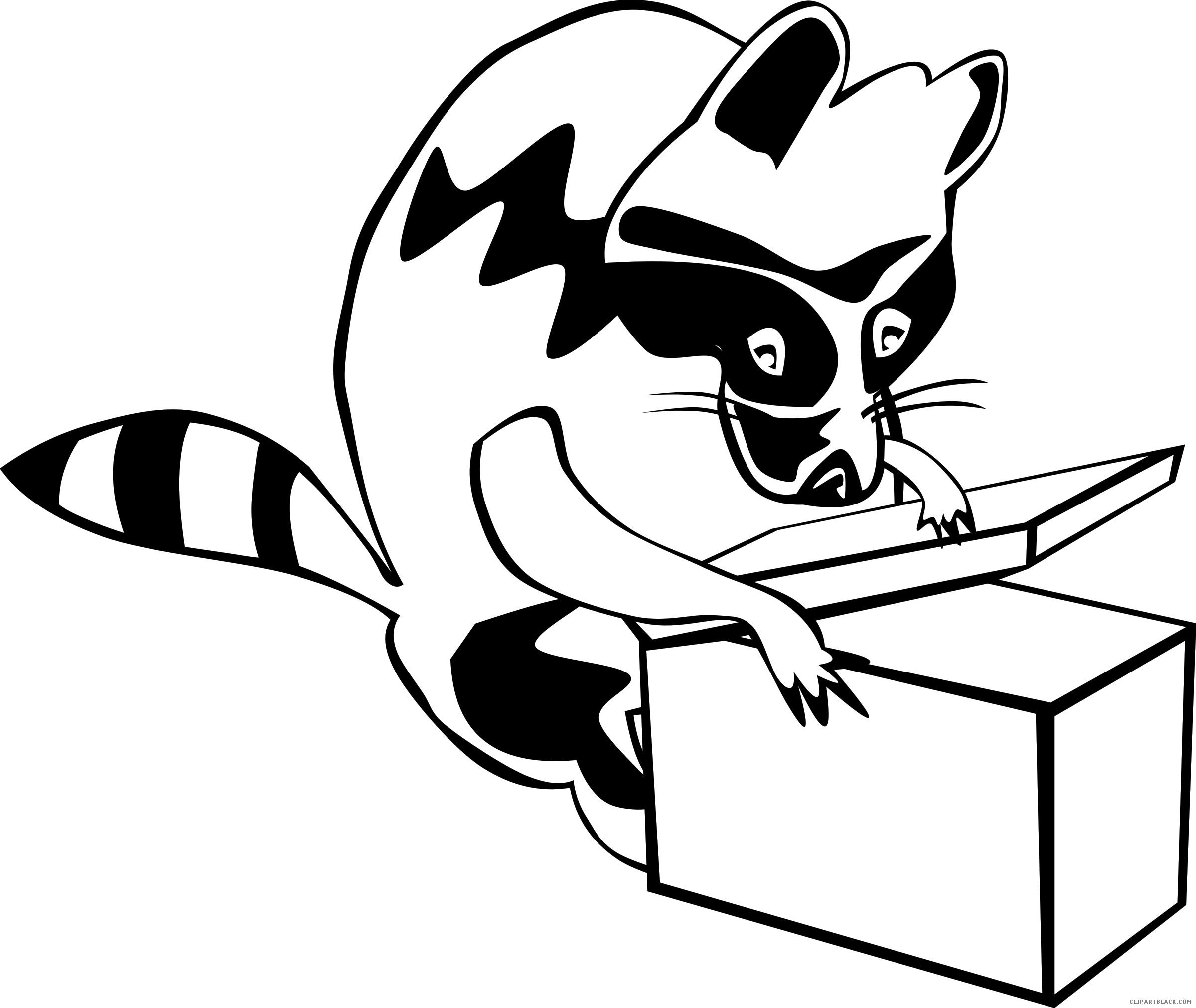 racoon clipart black and white
