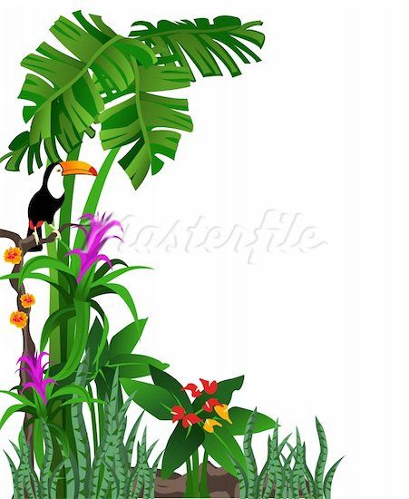 Rainforest clipart. Amazon at getdrawings com