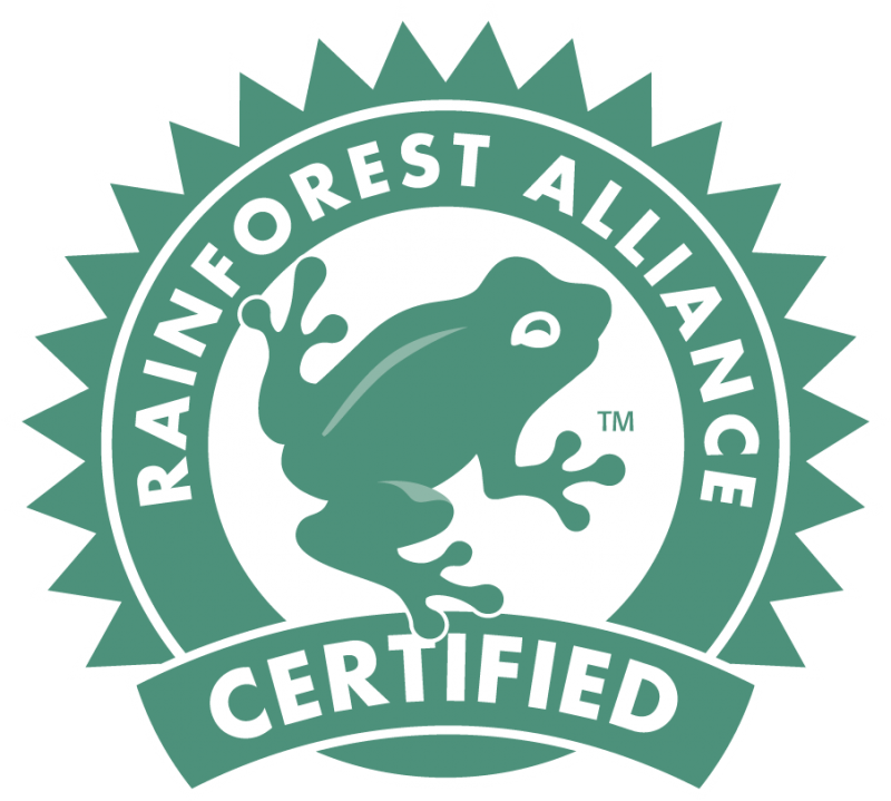 Rainforest clipart amphibian animal. What does alliance certified