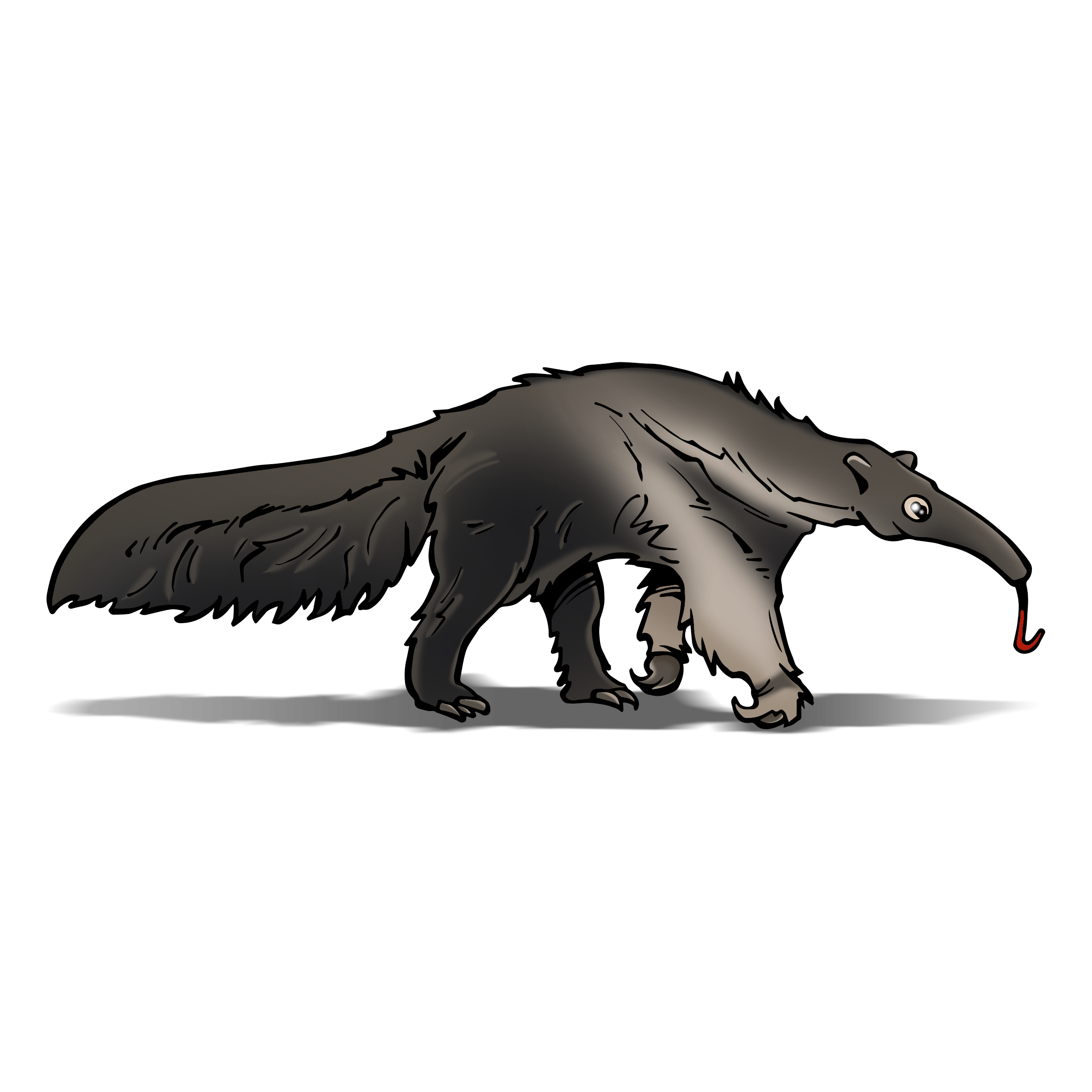 Rainforest clipart anteater. Perfect earth electric eel
