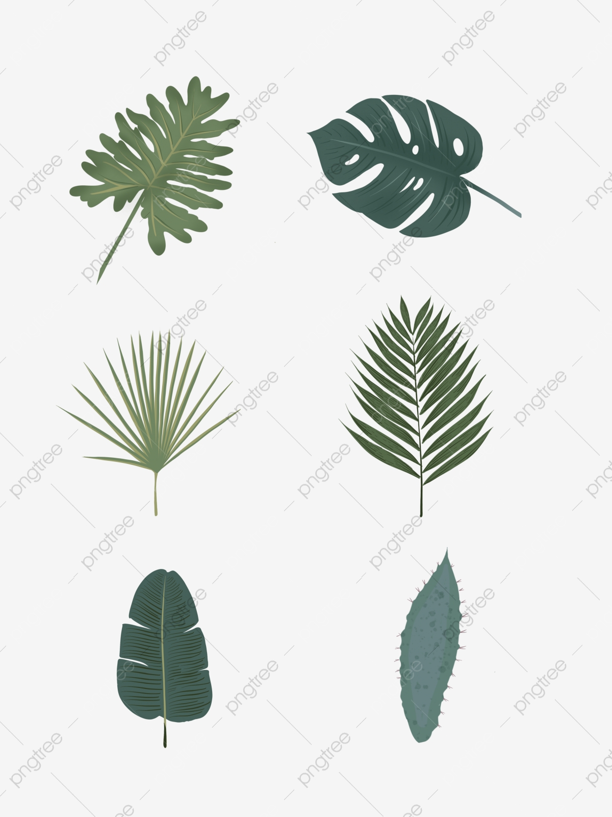 Rainforest clipart biology plant. Tropical 