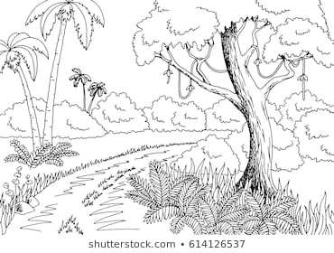 Rainforest clipart black and white. Portal 