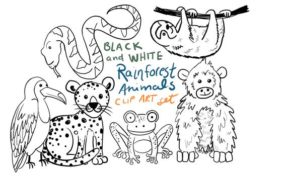 Doodle animals animal clip. Rainforest clipart black and white