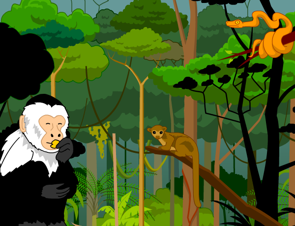 rainforest clipart brainpop jr