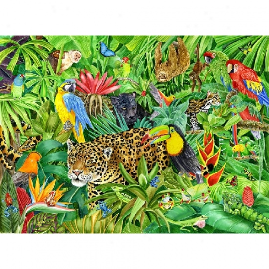 rainforest clipart clip art