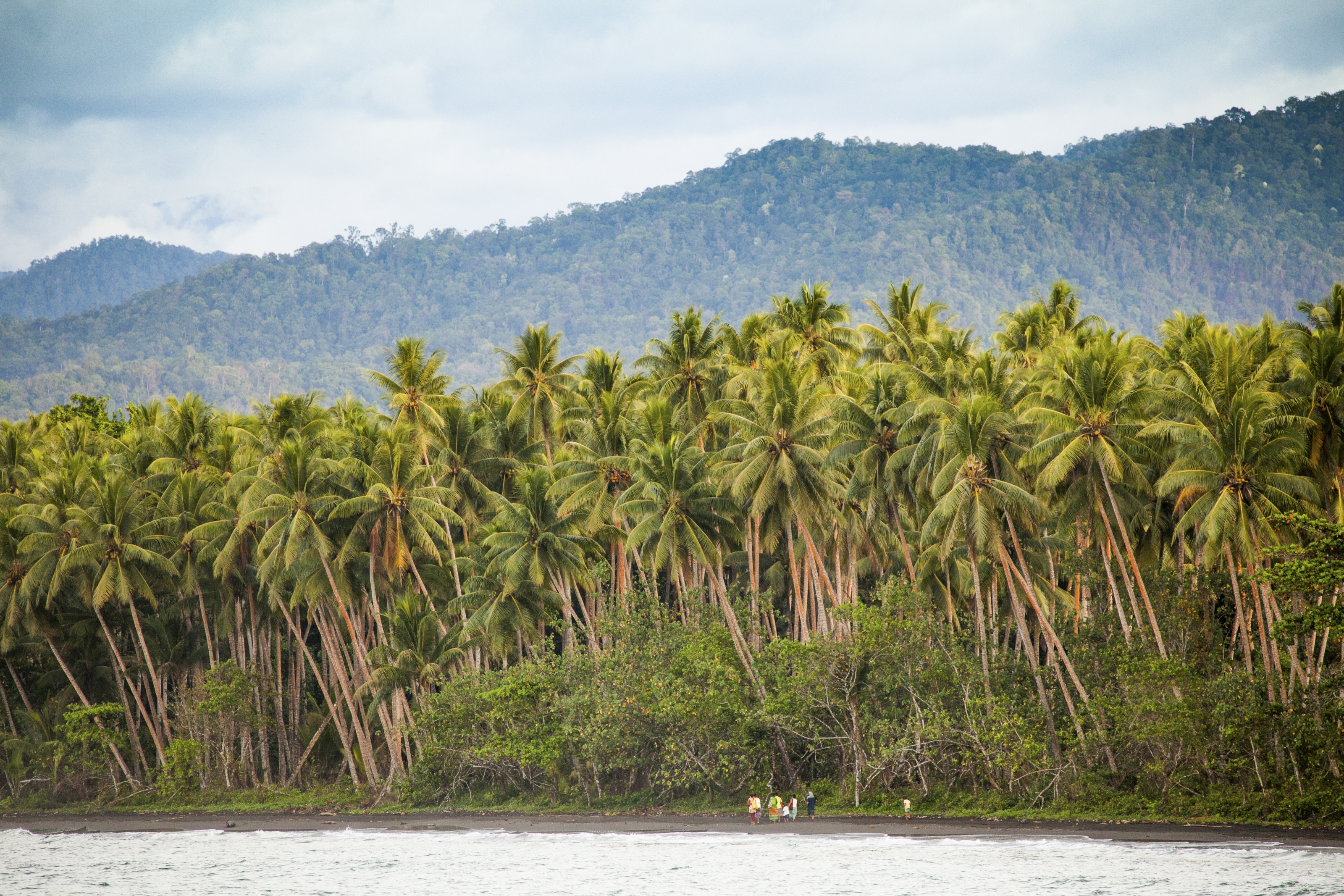 Rainforest clipart forest destruction. Why we depend on