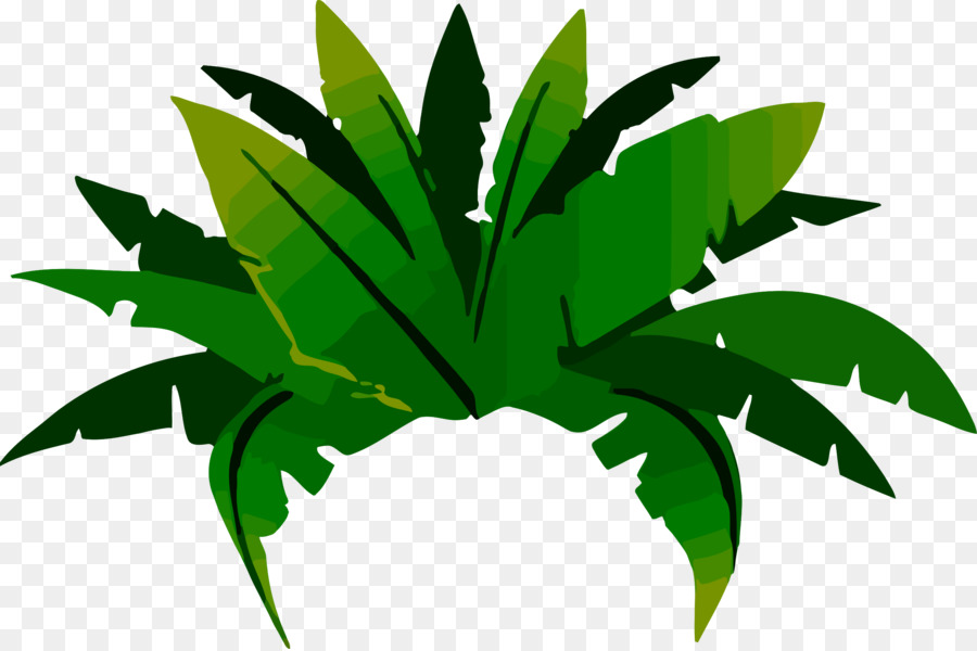 Rainforest clipart jungle amazon. Palm tree leaf 