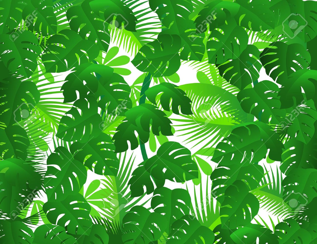 rainforest clipart jungle foliage