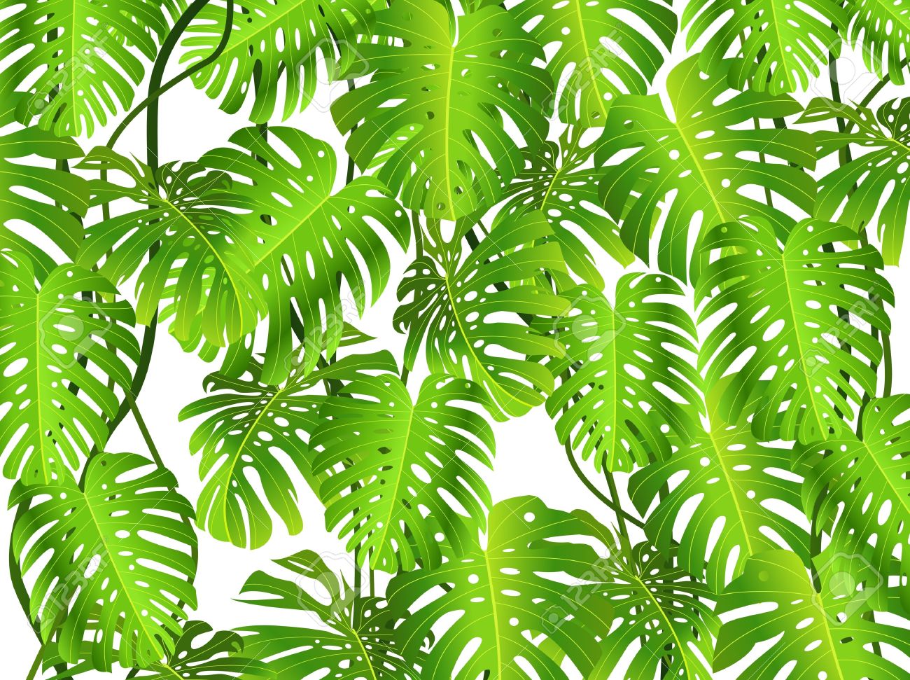 Rainforest clipart jungle foliage, Rainforest jungle foliage