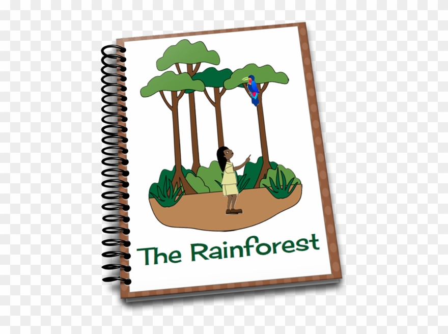 rainforest clipart kapok tree