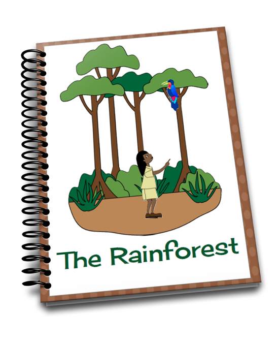 rainforest clipart kapok tree